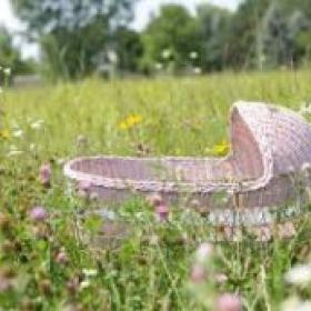 environnement