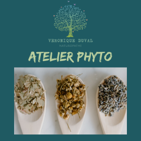 atelier phyto