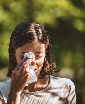 pollen