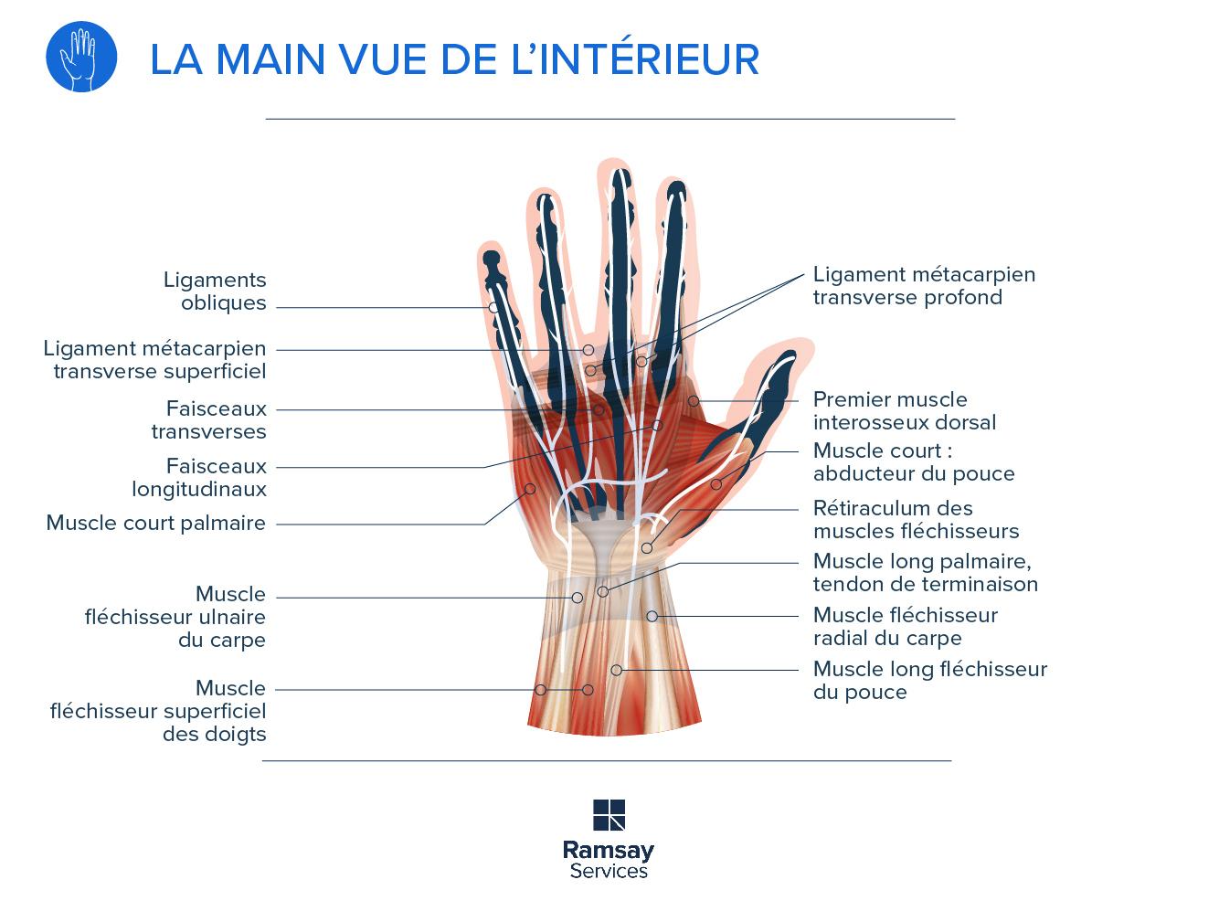 Chirurgies de la main : des interventions délicates mais déterminantes